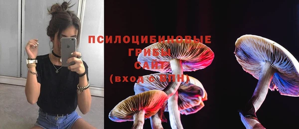 apvp Балахна