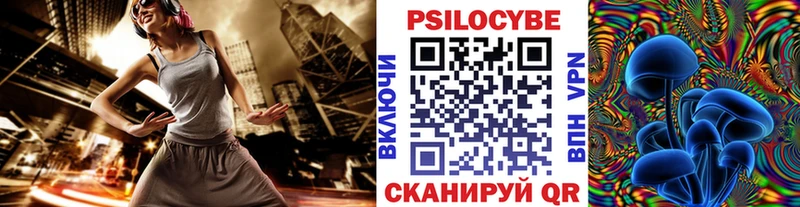 Купить закладки  Воскресенск  Псилоцибиновые грибы Psilocybe 